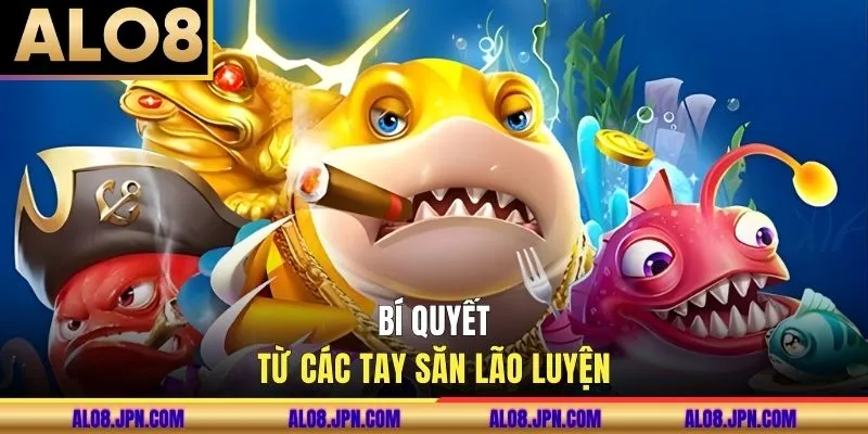 Bí quyết săn cá hiệu quả từ các tay săn chuyên nghiệp
